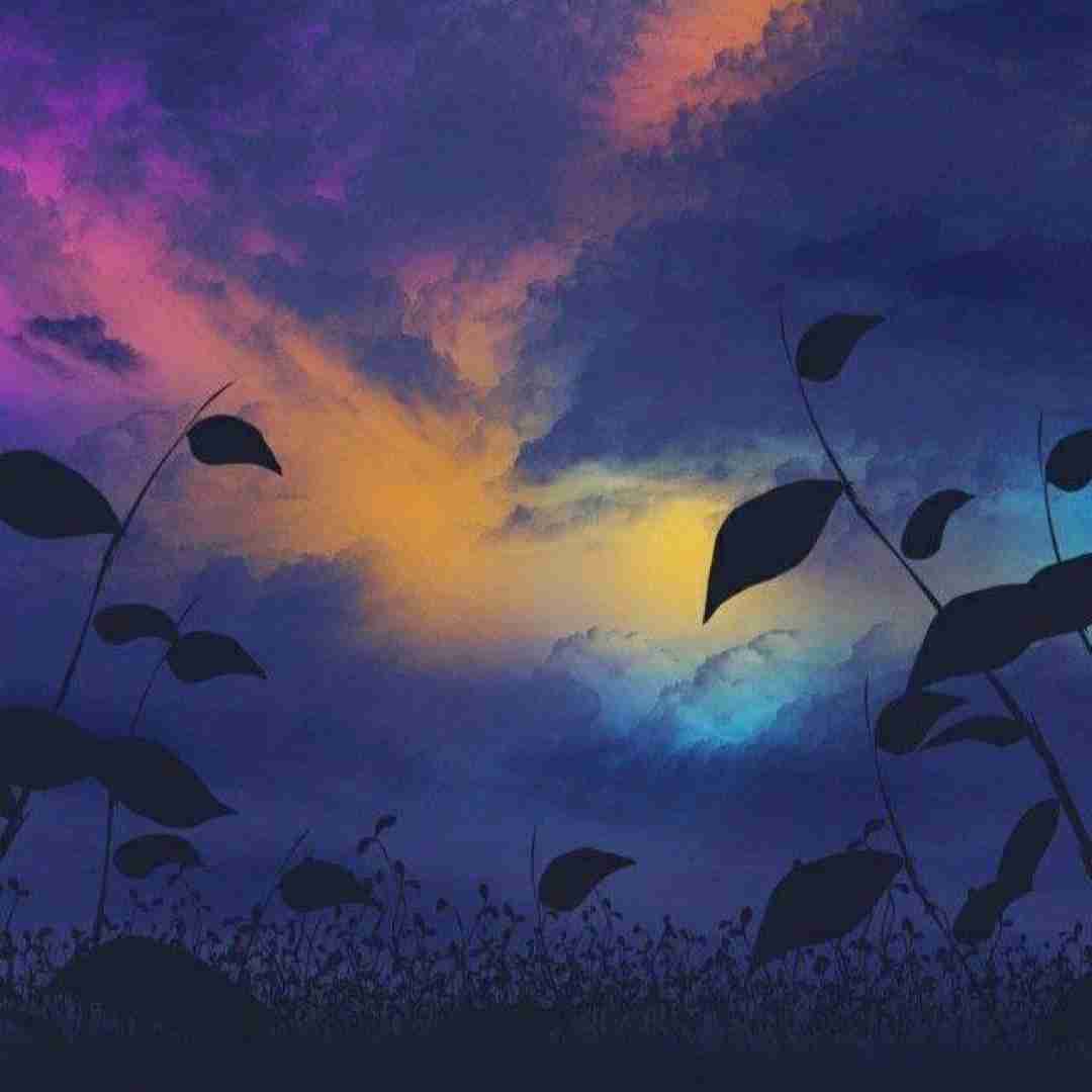  الو په په تو صندوق کیلو کیلو جنسه با صدای پسر (ترکیبی فارسی و کوردی)