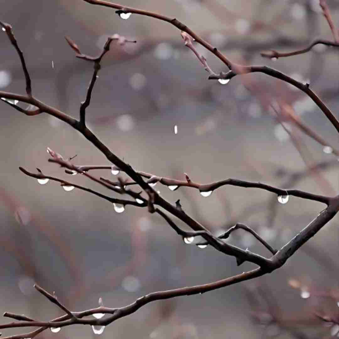  ولی به تو خوش میگذره میدونم (ورژن اینستایی)