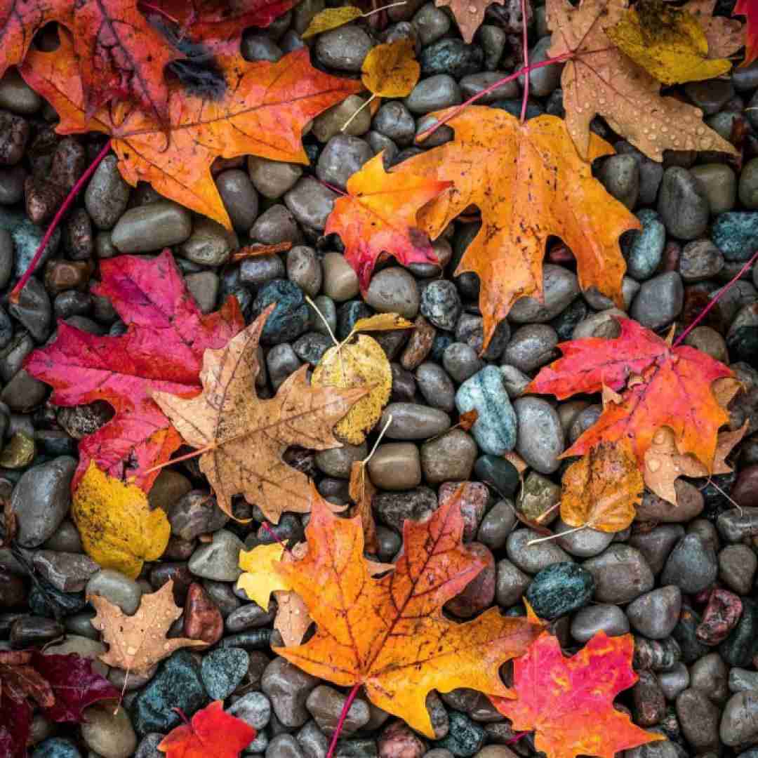  نه نداره فرق دیگه واسه من هرجا میری برو