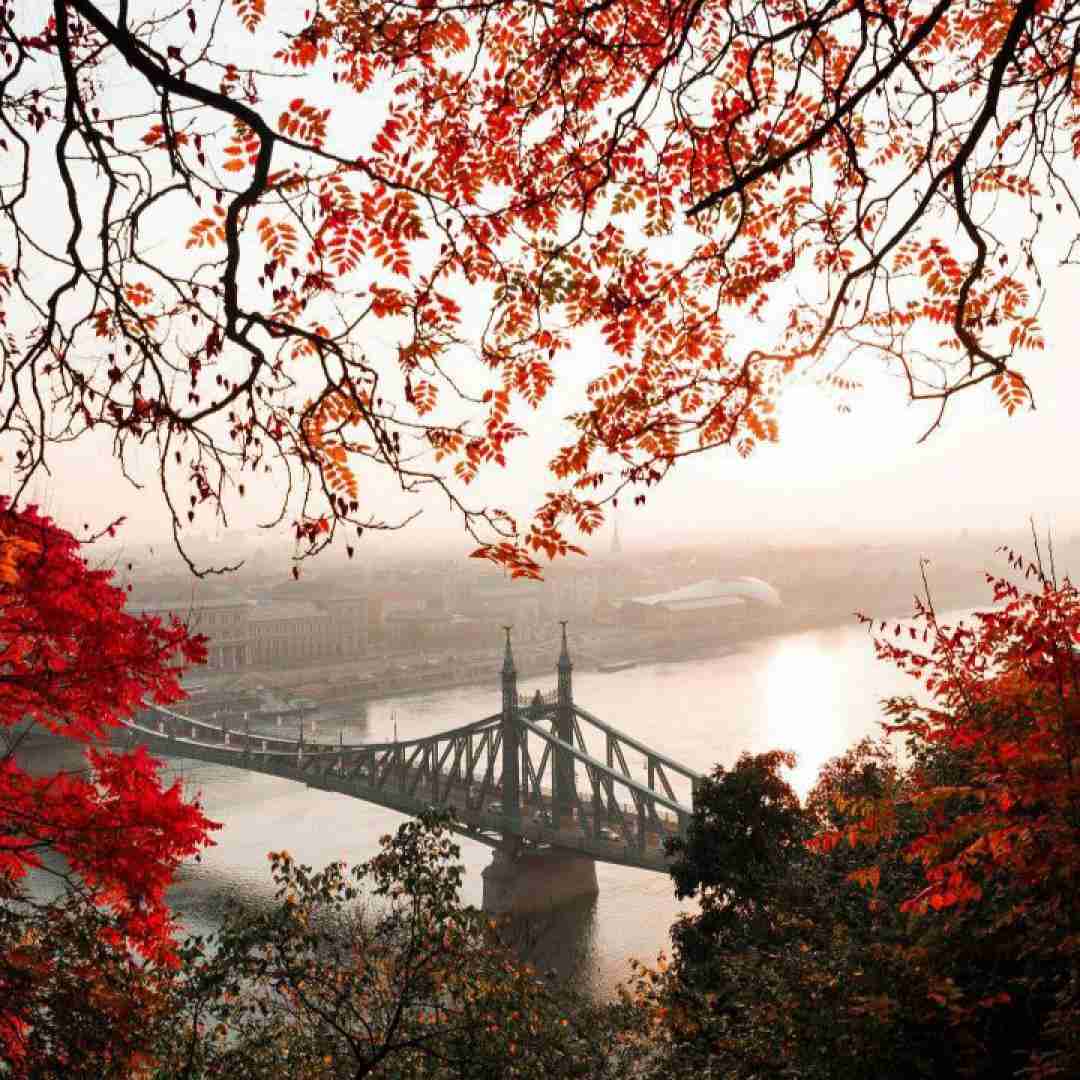 فاطمه عطایی های لاره