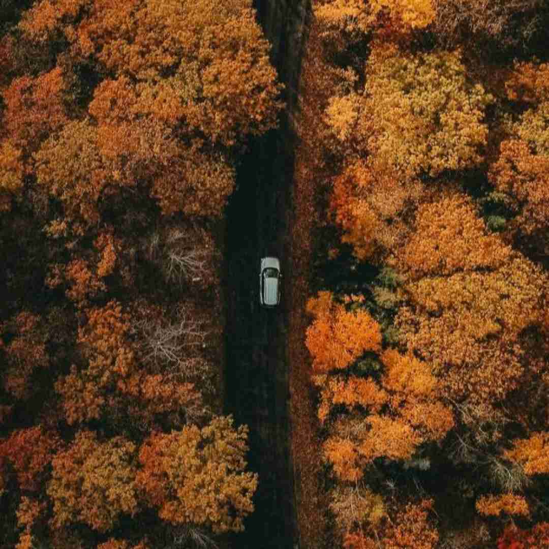  ژل و لنز و مژه مصنوعی و بوتاکس و فیلر با صدای پسر اینستایی