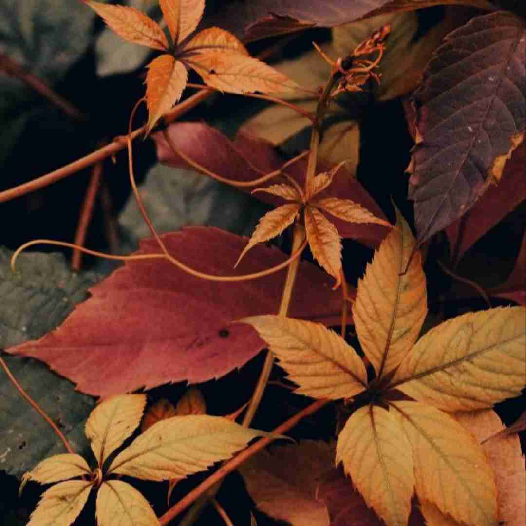  درد های واقعی میسازه مرد های واقعی (میکس اینستایی)