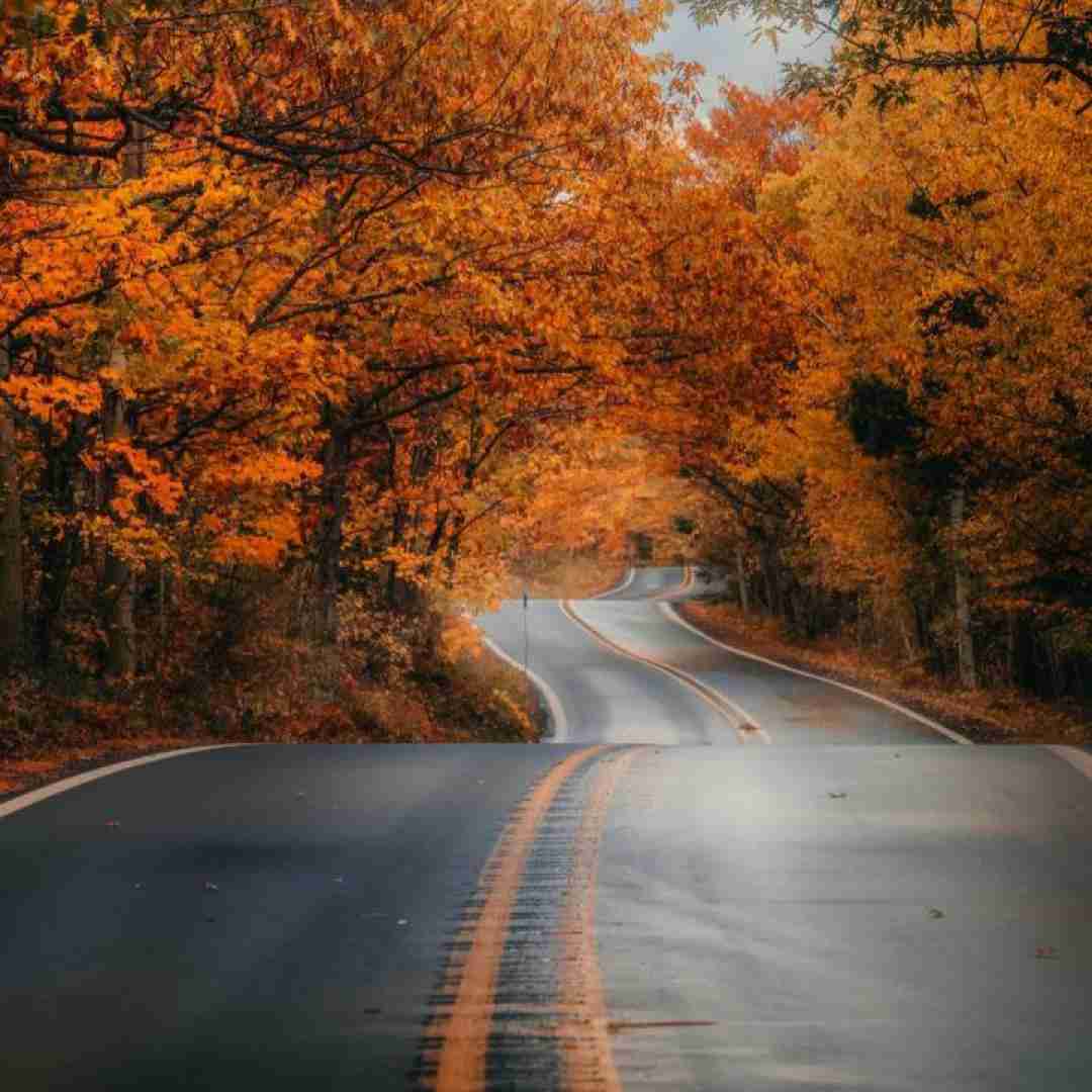 دشی میگیری سیس و با سیگار برامون دلش میخواد