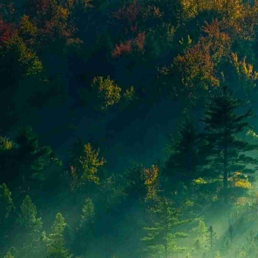  طبس تسلیت کشوری بیچاره هستیم با صدای پسر اینستایی