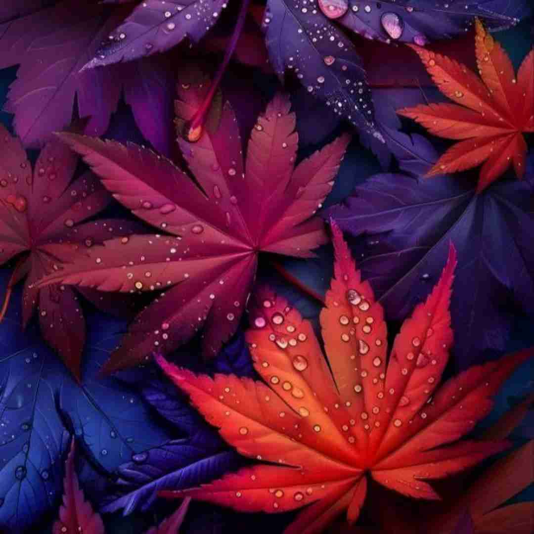  میگن رفتنی میره میگم این راهو این جاده دراز