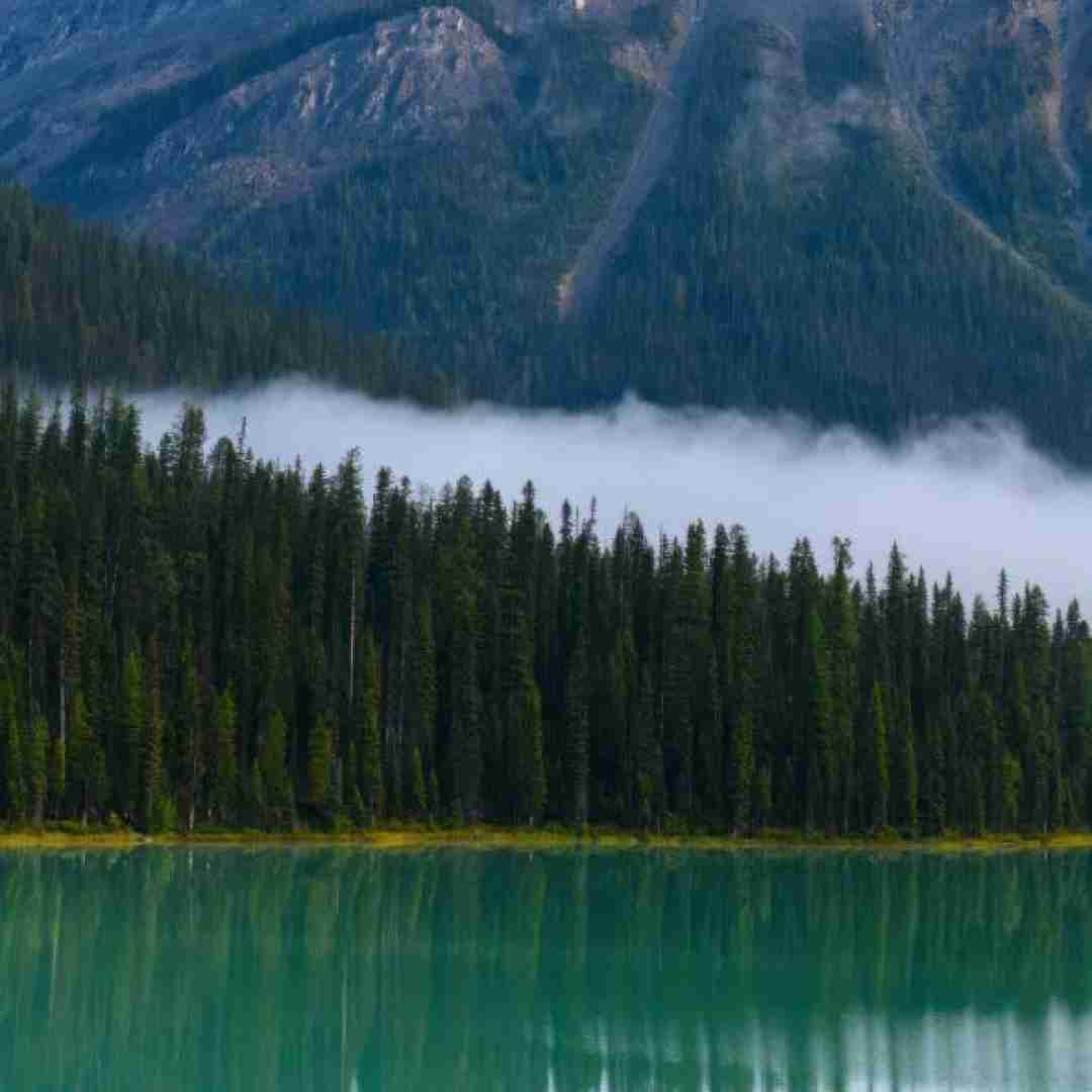  میره اکسپلور میزارم پست هر بار