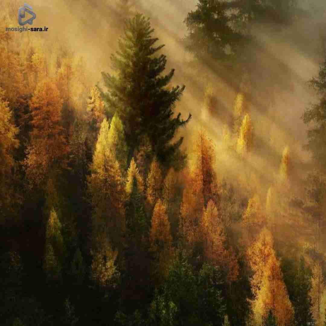  الان کجایی روی اون همه دراگ میدن این