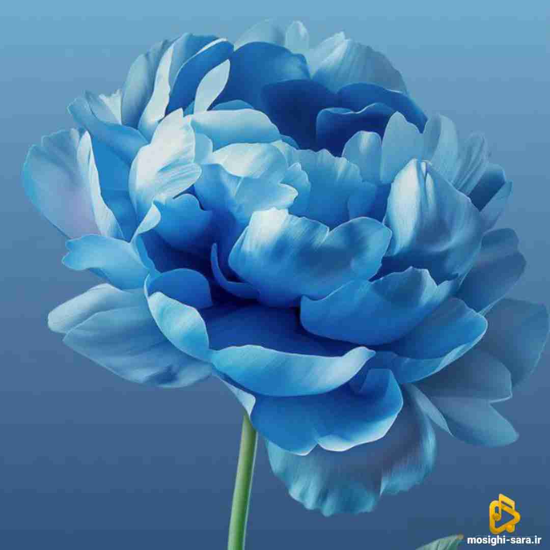 ستایش صادق زاده گلابتونم