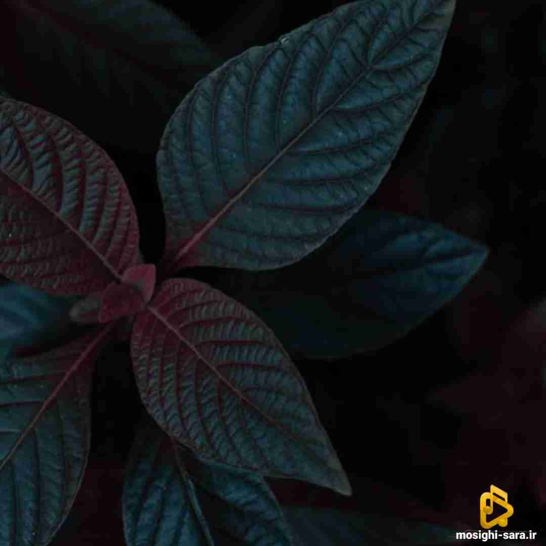  یکی بهش زنگ بزنه بگه هنوز تو فکرشم با صدای دختر اینستایی