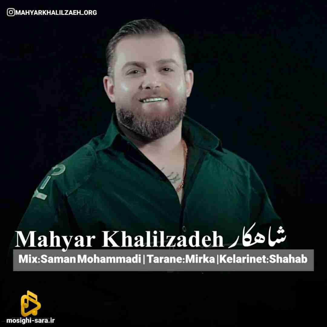 مهیار خلیل زاده شاهکار