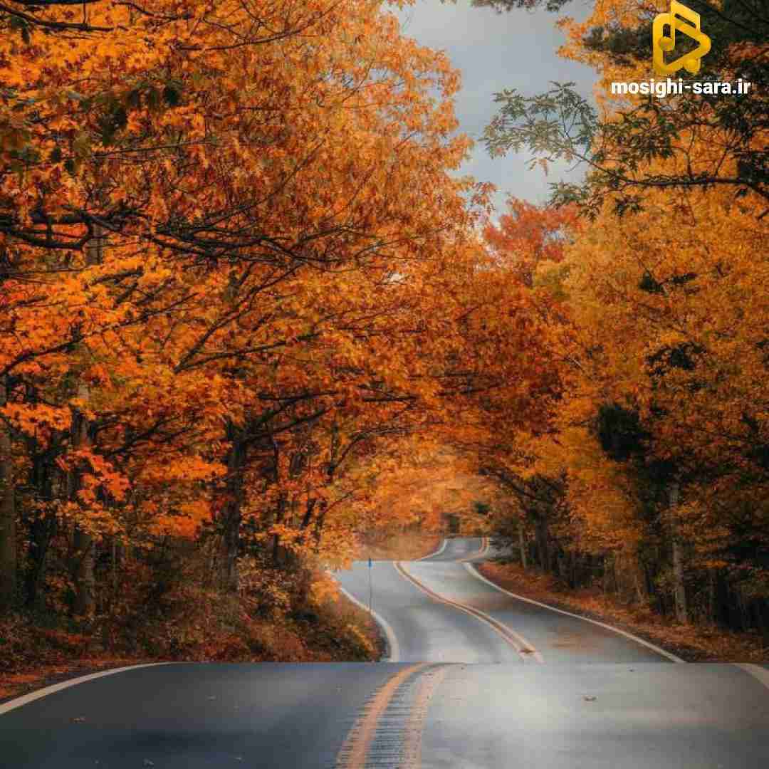  دادستان شهرم خواب رئیس جمهور وقتم خواب