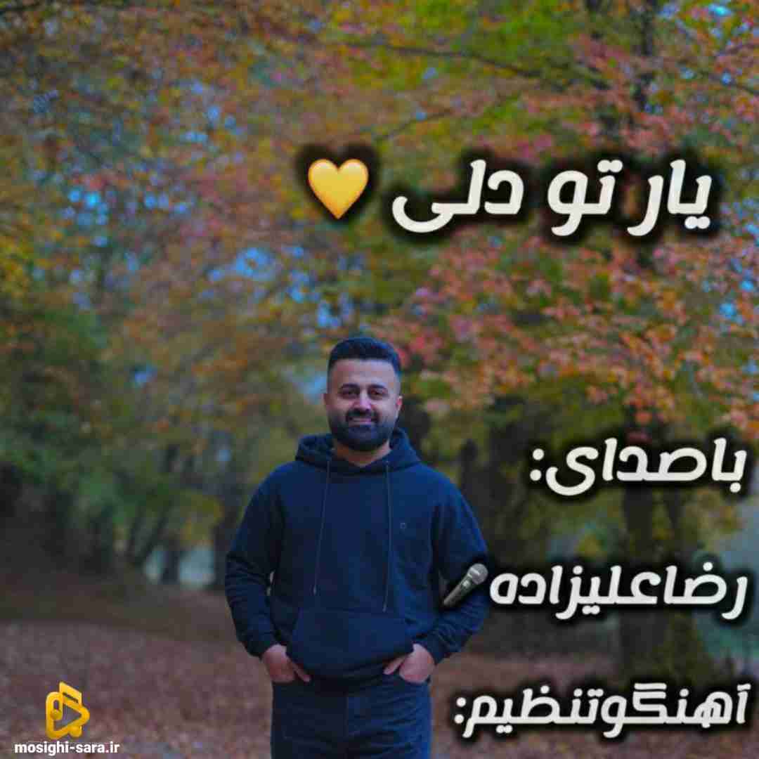 رضا علیزاده یار تو دلی