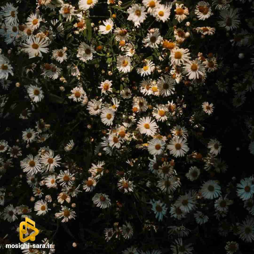 قطع و وصل نکن من یه تک میام