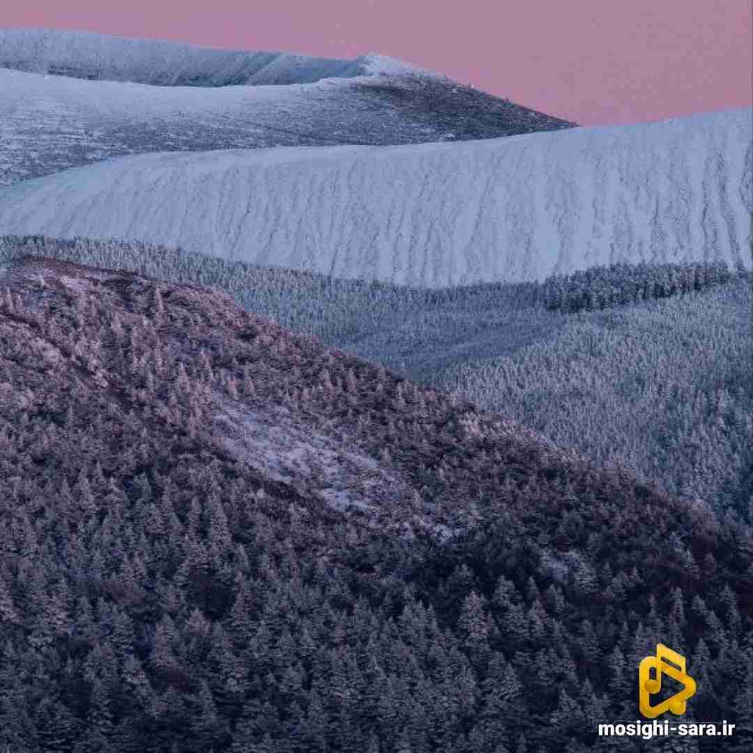  حس نمیکنم دیگه توی قلبم درد حال کسی نمیکنه
