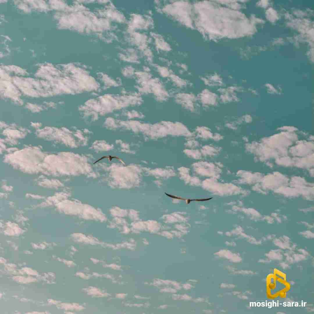  یه دستم کاپ یه دستم گرس (ترند اینستایی)