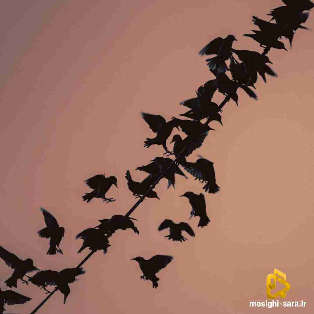  به رفتن عادت کن تموم میشه همه بدونا