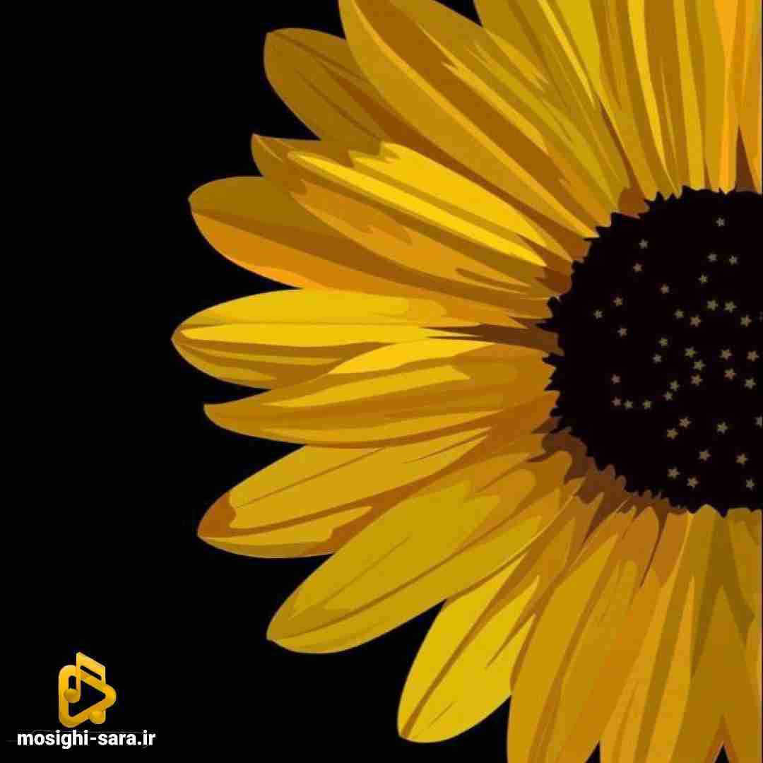  پس دشمن من شده چون مده یا دنبال تجویز کورتونه