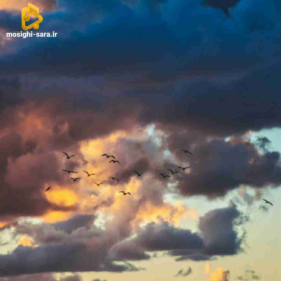  میگم از اینجا به بعد تنگ میشه دلت واسه من