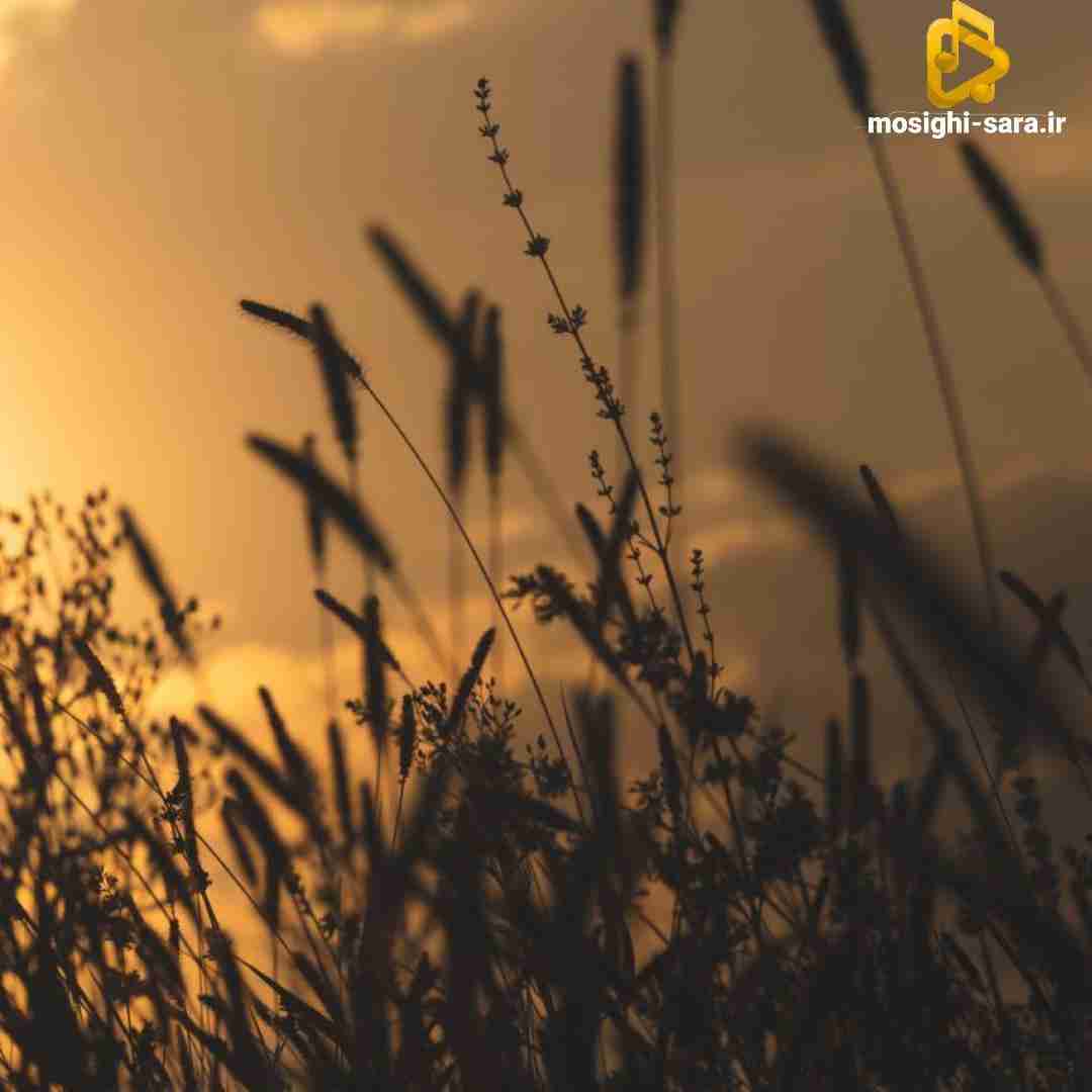  سریع قلبت شکست کی قدر من درکت میکرد
