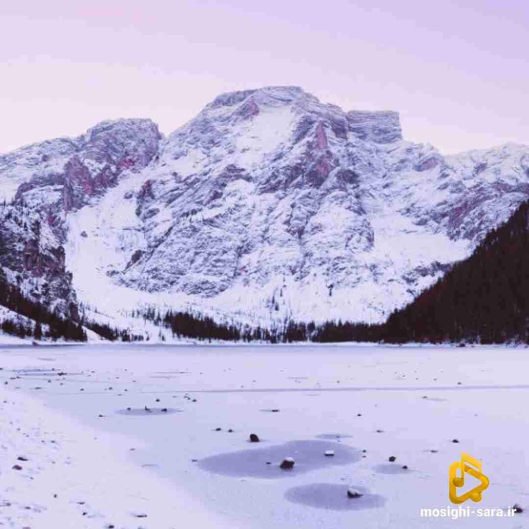  منو بسپار منو بسپار به گذشته نکن انکار