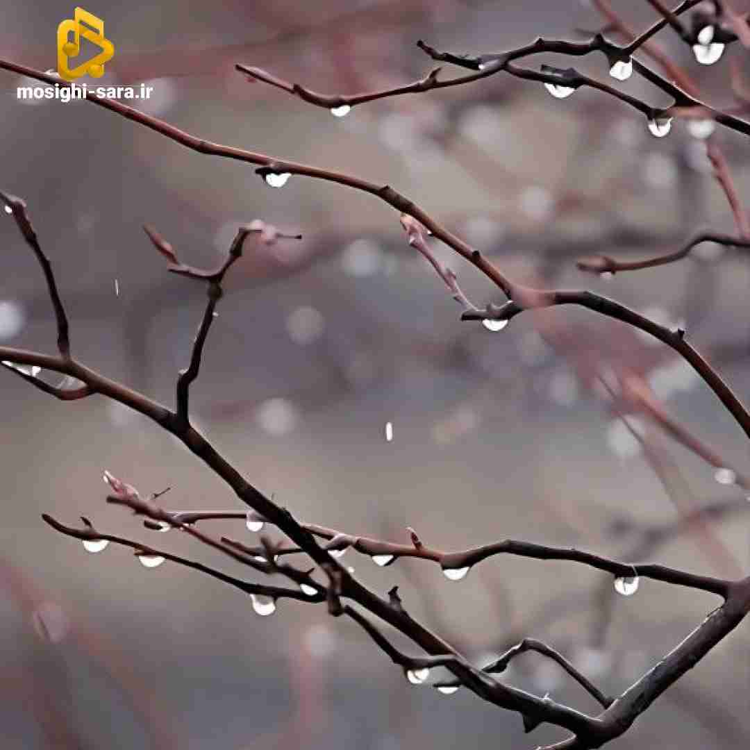  نازنین از وقتی رفتی هم با همیم نیلوفر یادم میاد