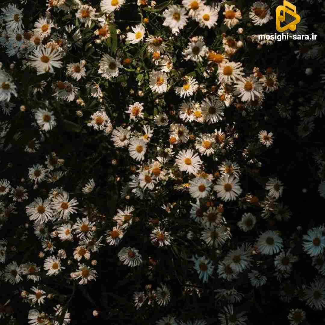  هرجا رفتی یاد منم باش من دوست دارم همه بدن