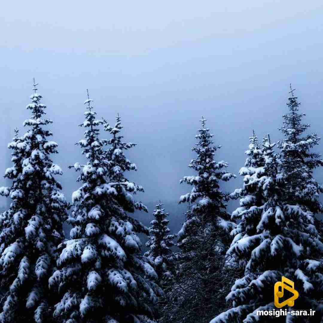  یه چی بده دود کنم یادم برن آدما