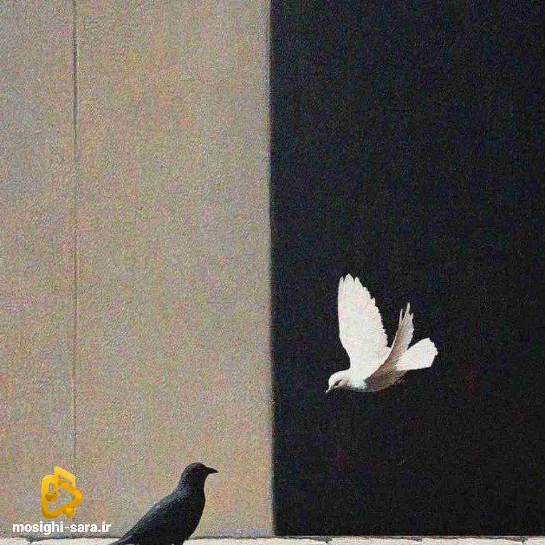  اگه دخترارو ببرن خدمت تو پادگان وضع همینه من بعد