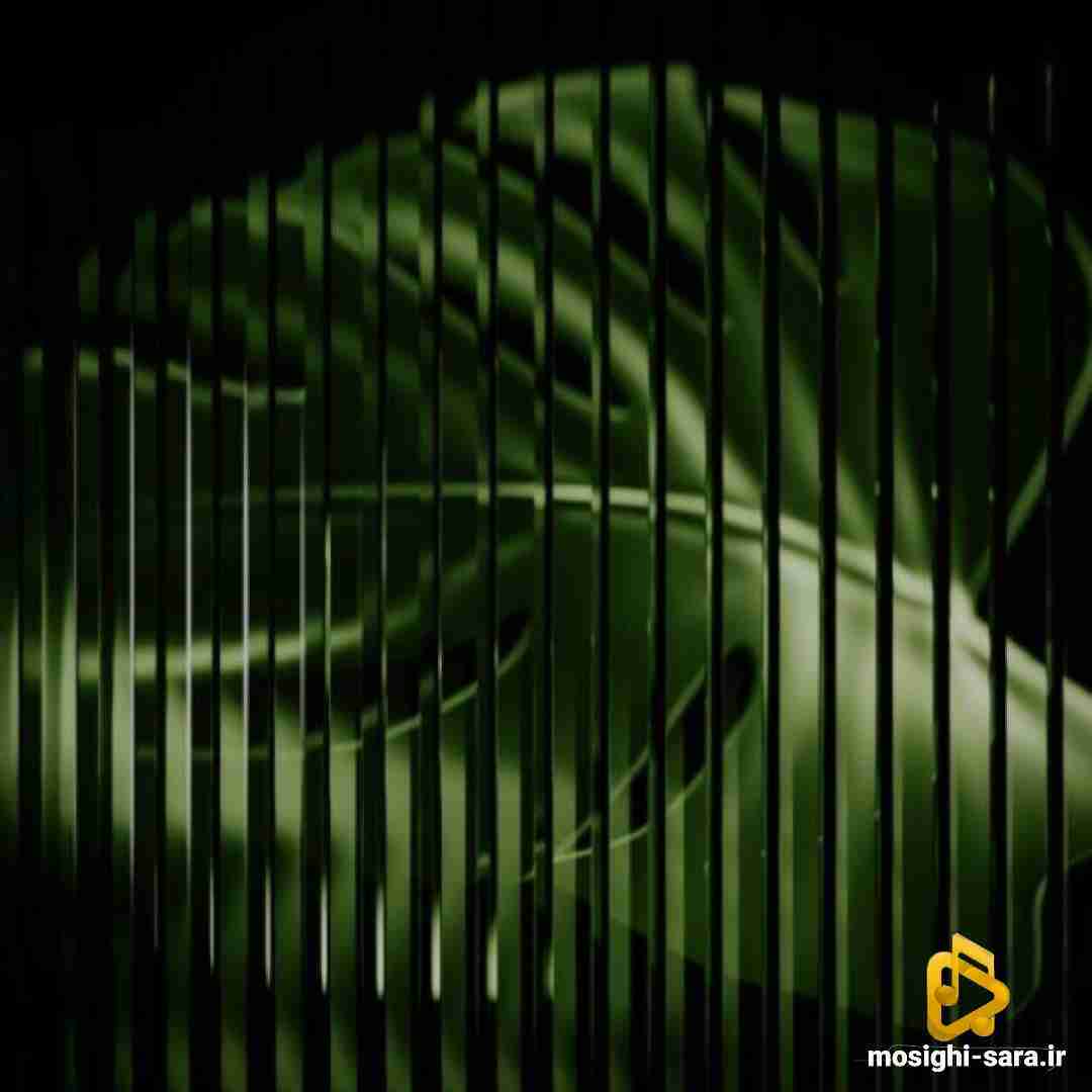  دیدی همون شد میگفتم دیدی دیدی از اول میگفتم میری