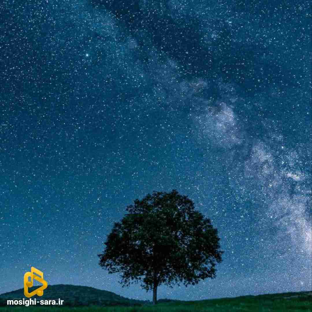  تلاشمو کردم ولی توو لیت هی بیخود دادم طولش
