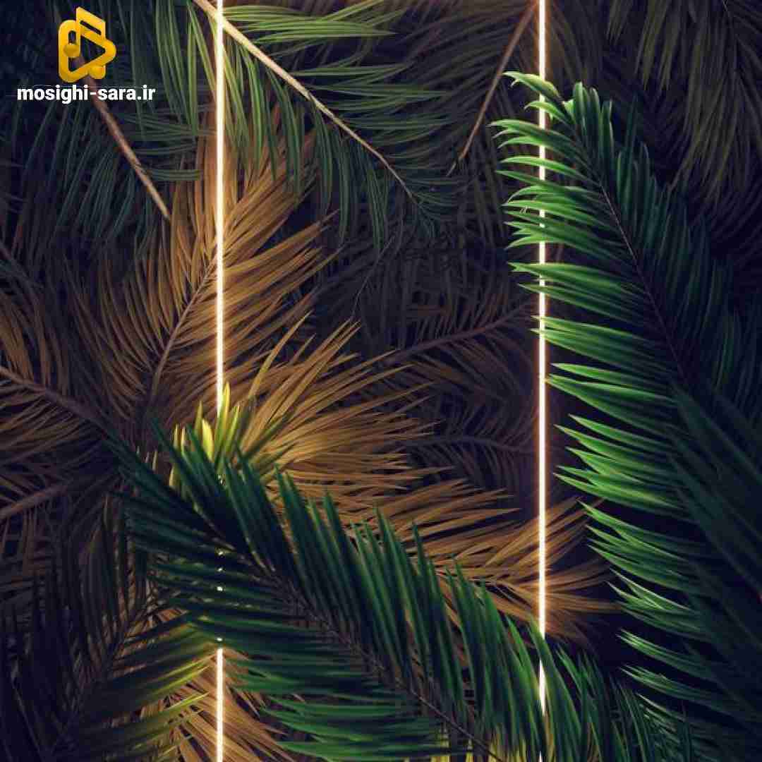  دنیارو نمیخوام اگه تو نباشی پوستمو میکنم سر تو نقاشی