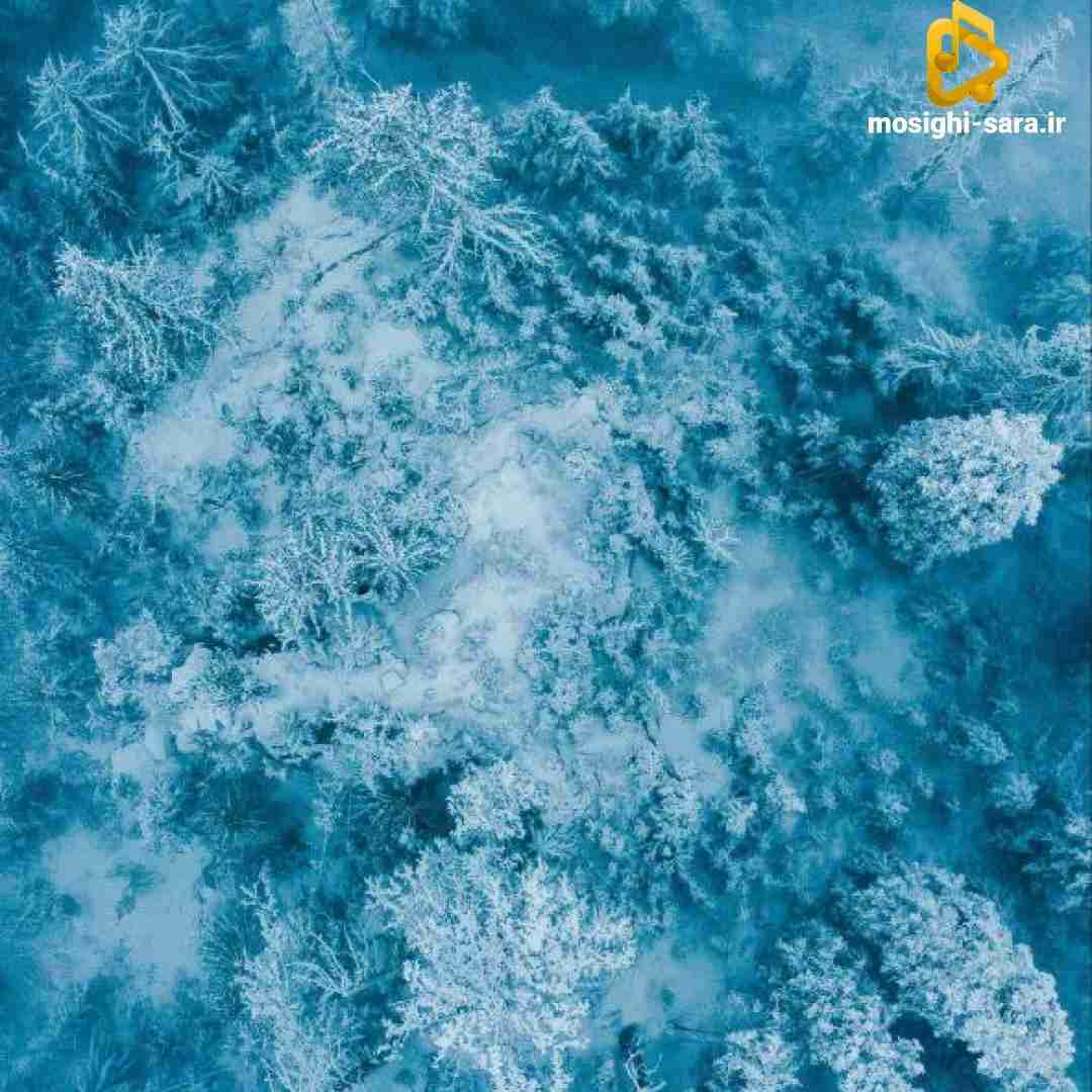 چقده بخشیدمو نبخشیدن منو همه