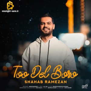 دانلود آهنگ تو دل برو از شهاب رمضان