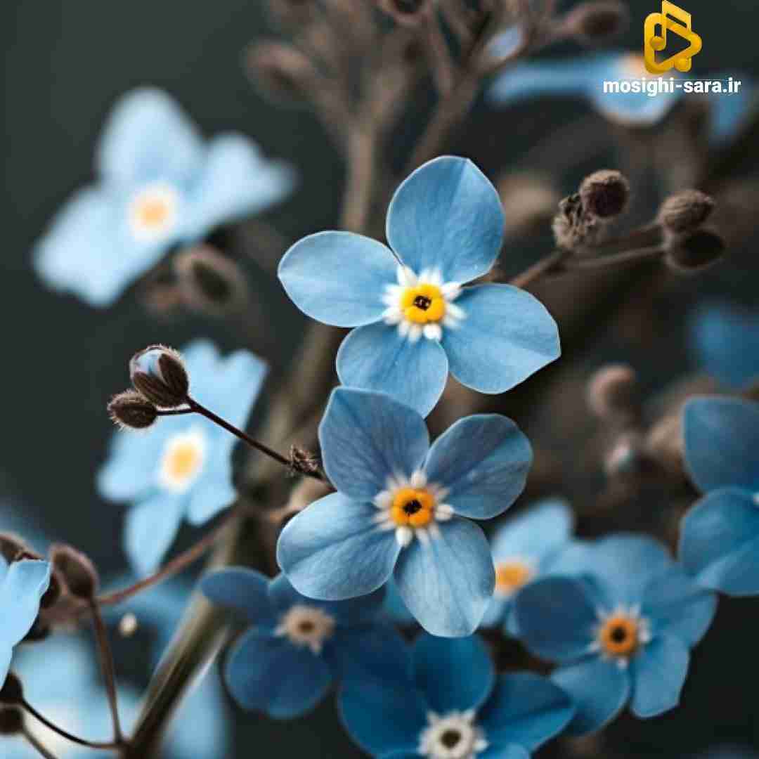  خط کشیدم رو خاطراتت هنوز نقطه ضعفم چشاته