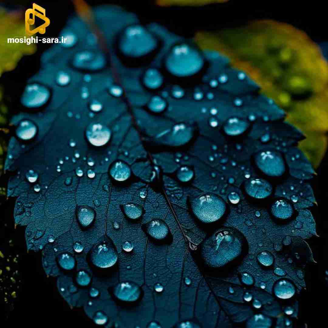  عروس چقد قشنگه دوماد چه شادو شنگه
