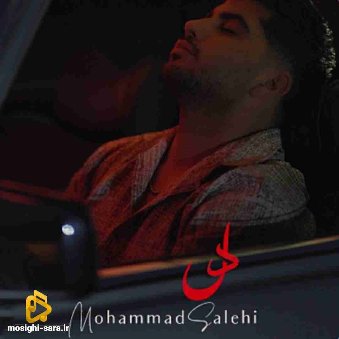 محمد صالحی دل
