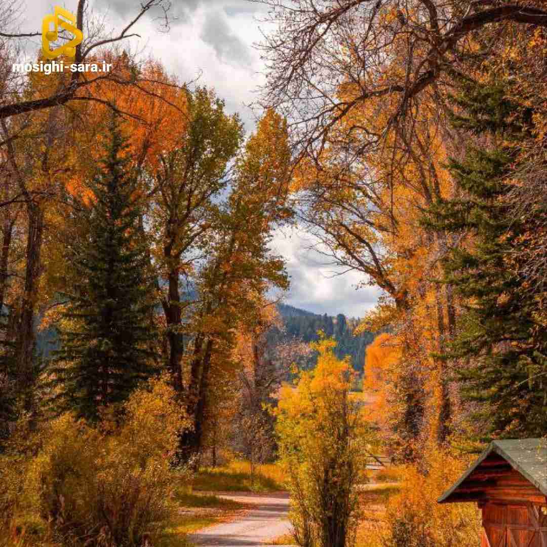  فکرم پیش بچمه بچم منو خیلی وقته چن ماهی میشه
