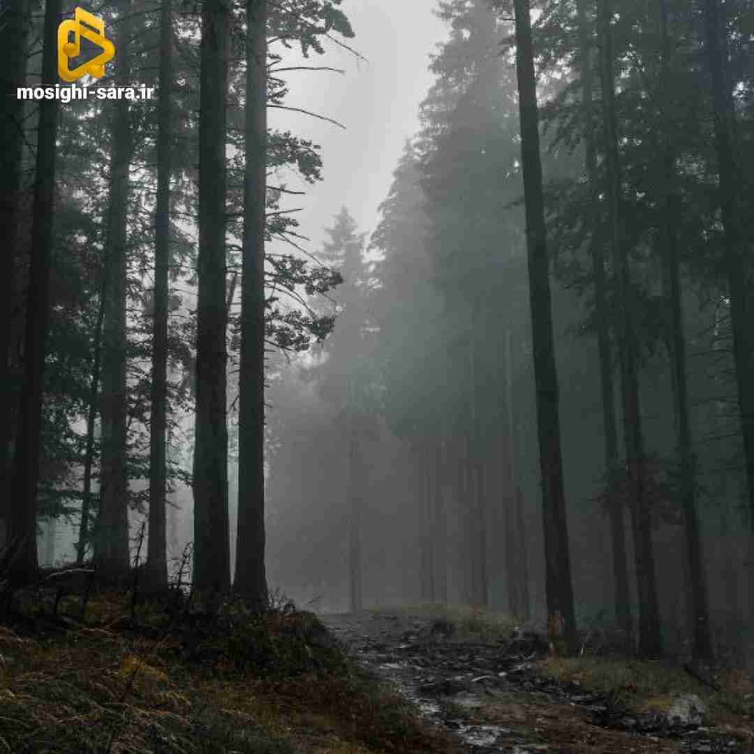  میچرخه زمین تشنه به خون زمان بی رحمه