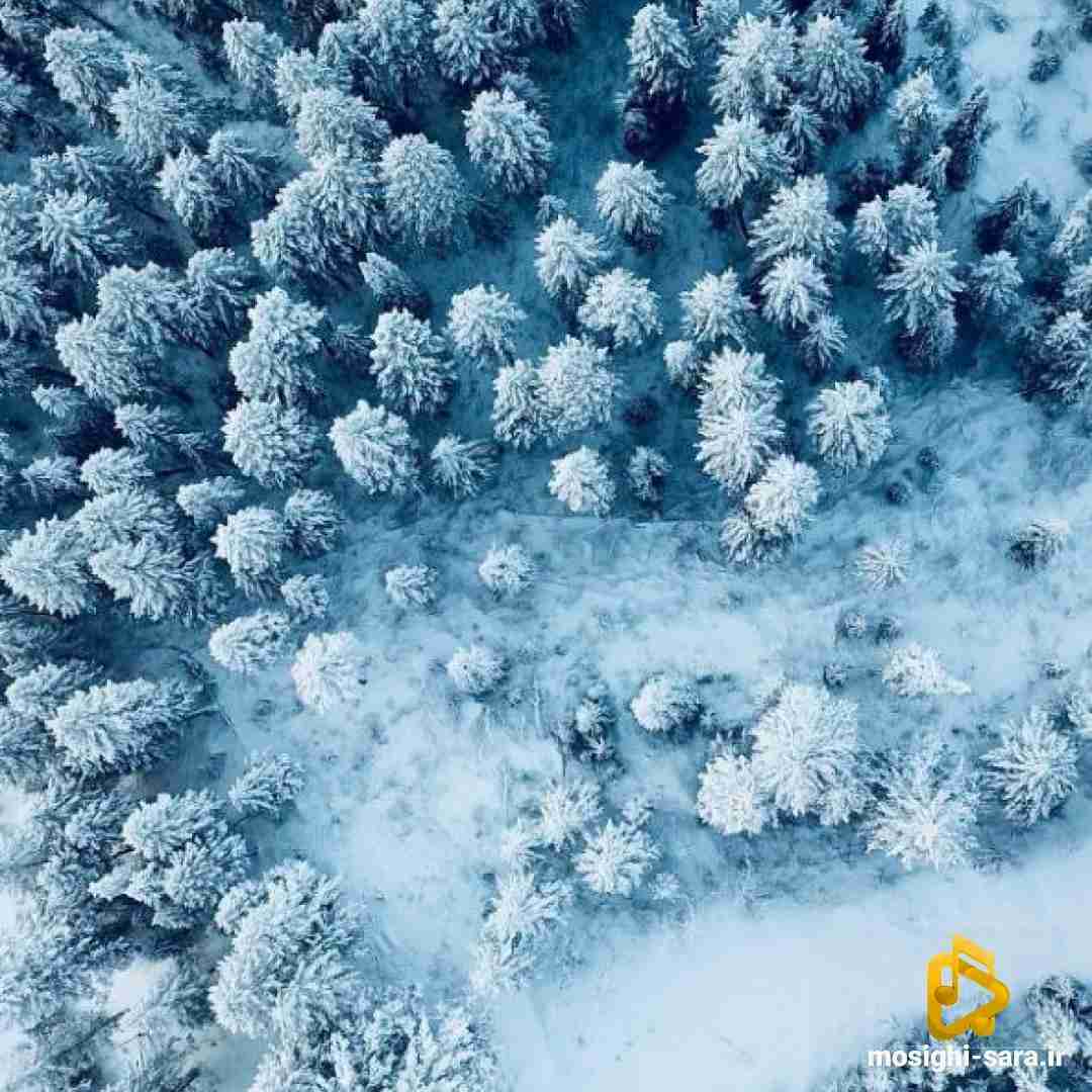  من قلبم برات میدرخشه چپ سینم ولی تو