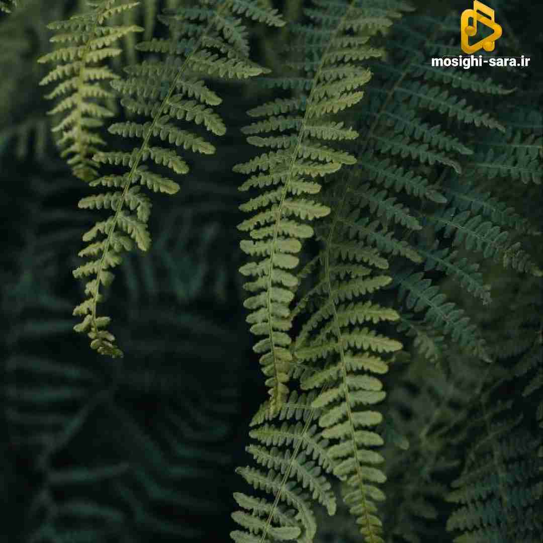 یهو چیشد هرکی بود تو راهت بغل کردی (میکس اینستایی)