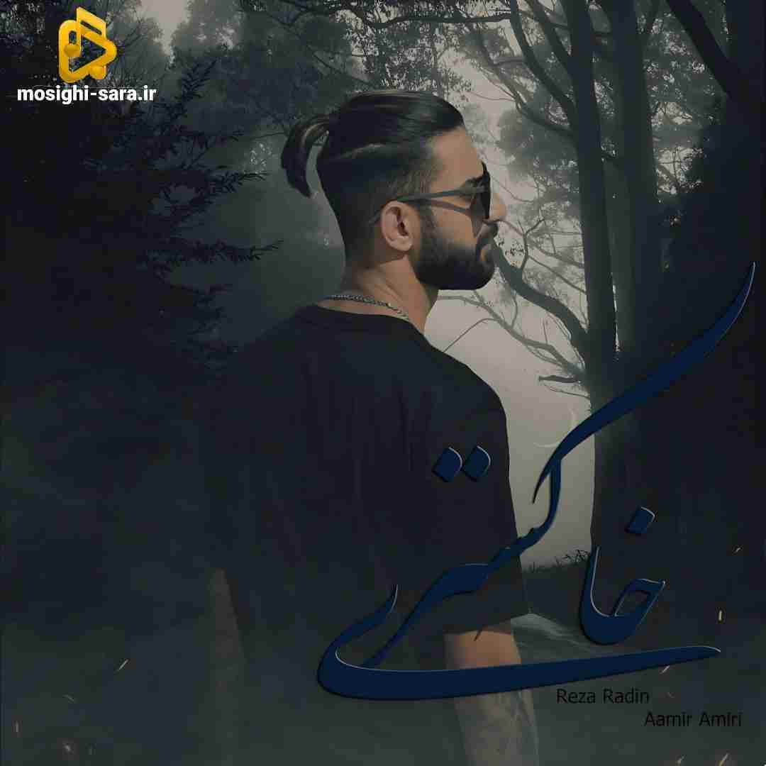 رضا رادین خاکستری