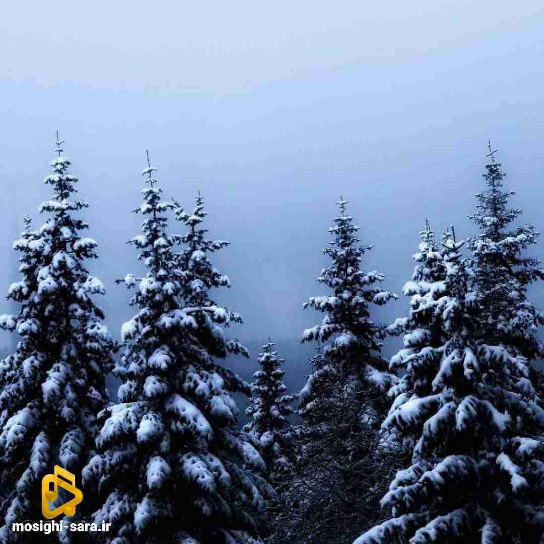  دوباره دارم میبینمت الان تو خواب حرف بزن