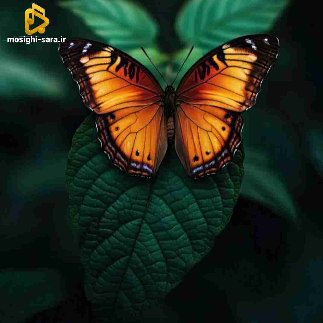  میگن نمیفهمی از عاشقی درست میگن