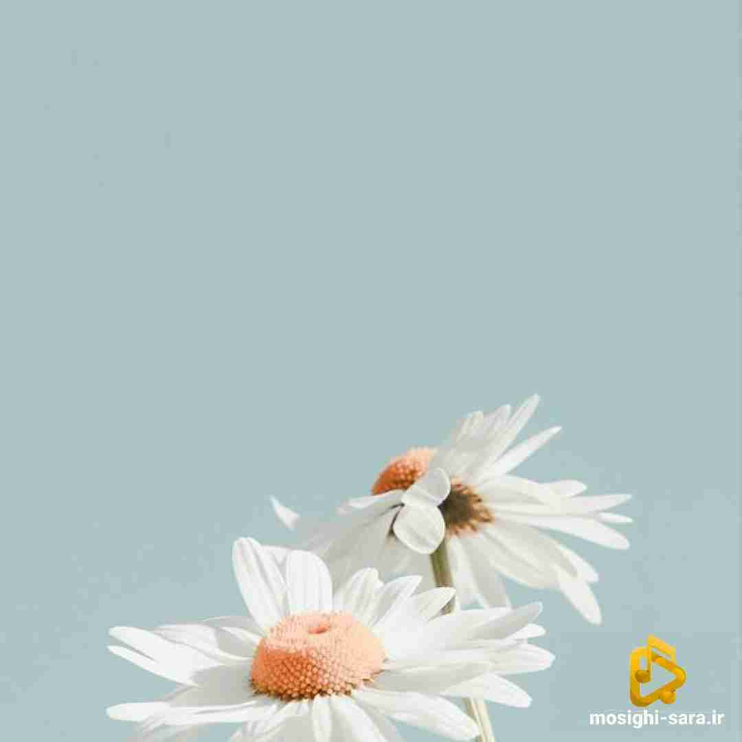  پول بنزینو بده پورشه باد میاد میده تو پورشه پارک