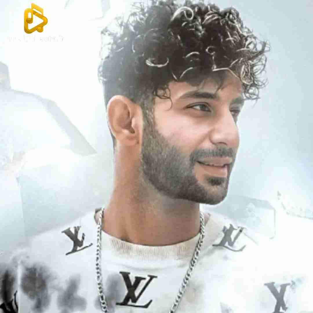 رضا رادین برگرد