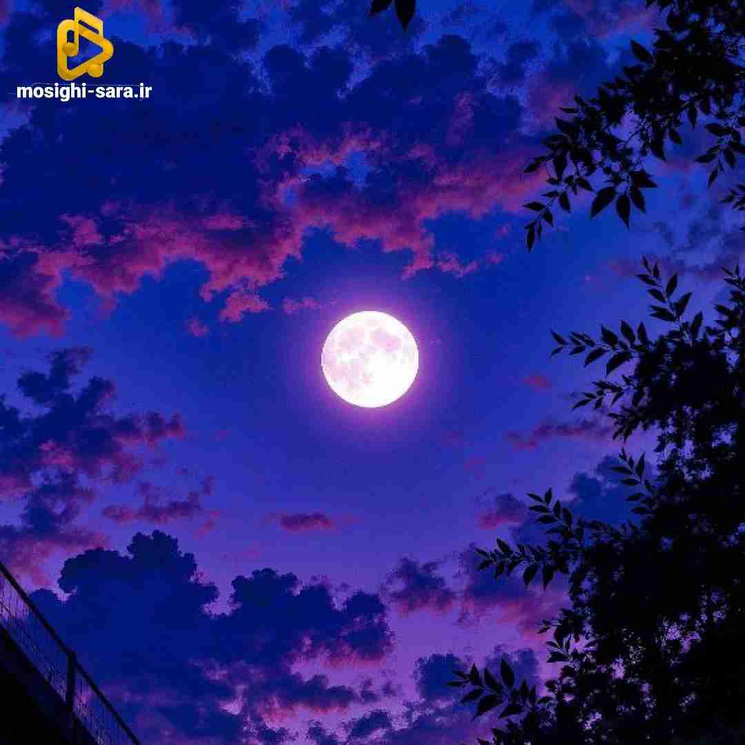  تنها داشتم سر میکردم با پرکام داشتم
