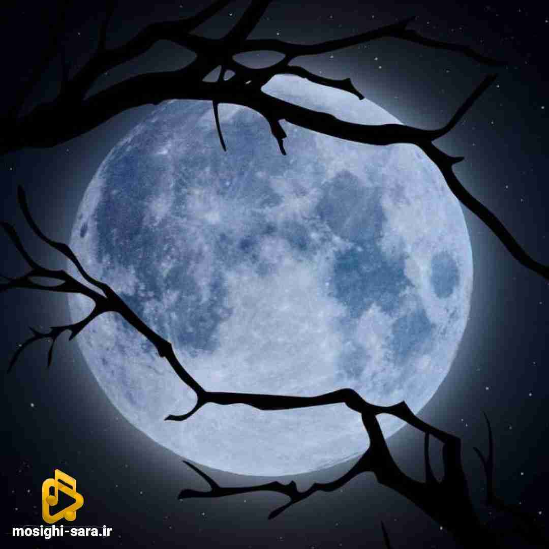  میدونم میبازم بهت ولی میام برات