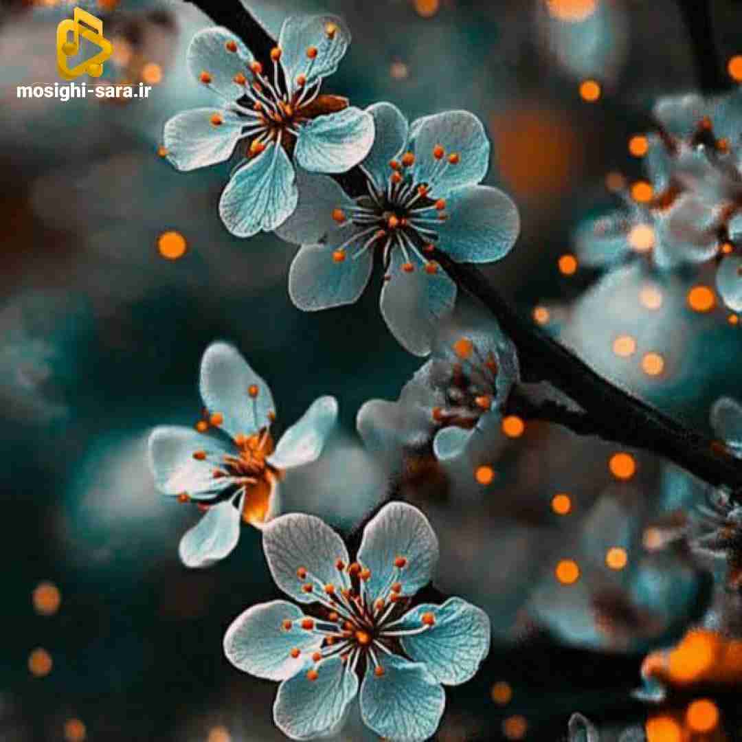  وقتی فهمیدم اعتماد بوده اشتباه بغض داشتم سر شام