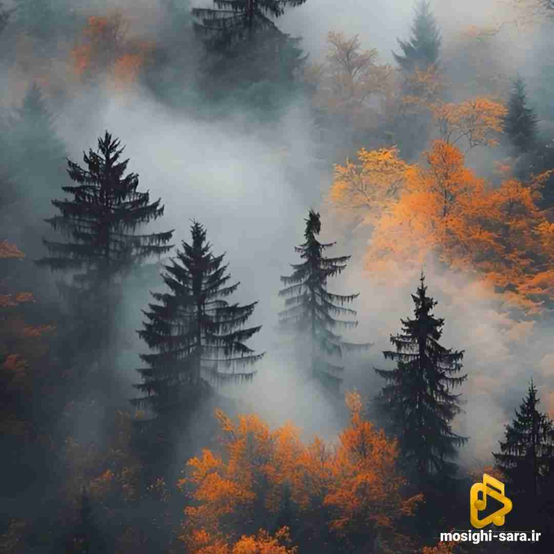  اگه میبینی دیگه چیزیو حس نمیکنم واسه اینه