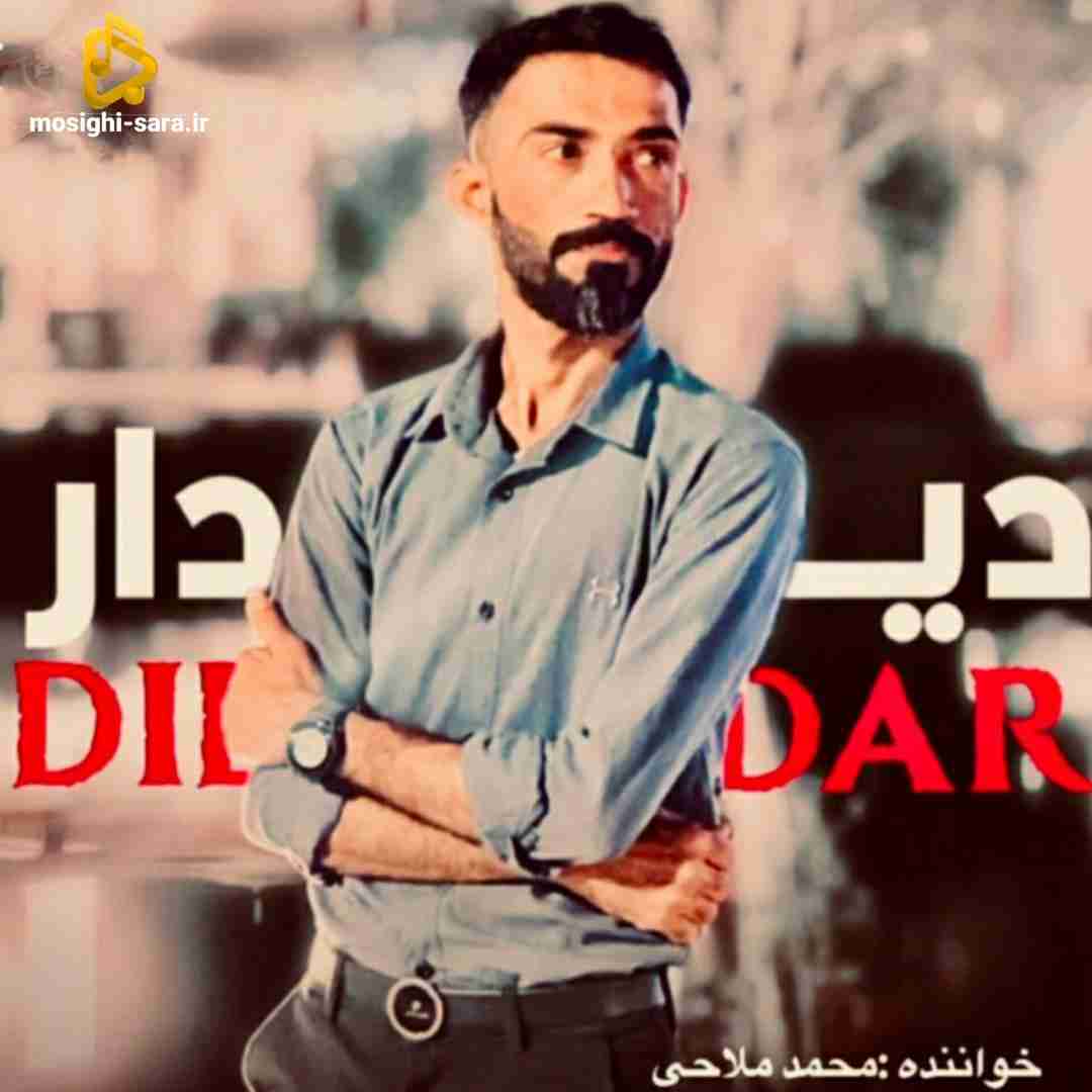 محمد ملاحی دیدار
